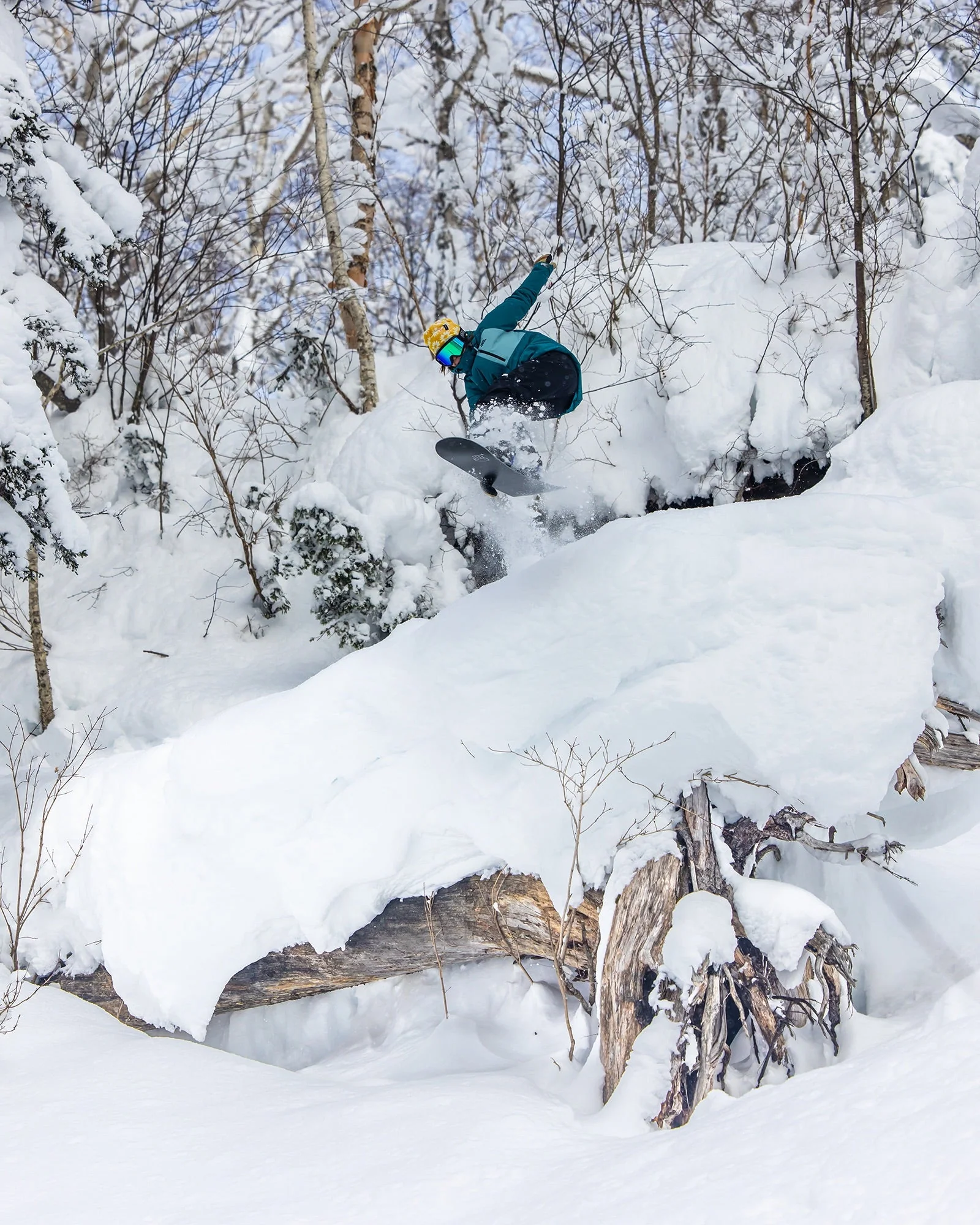 Push Up+ Women's Snowboard - Image 4