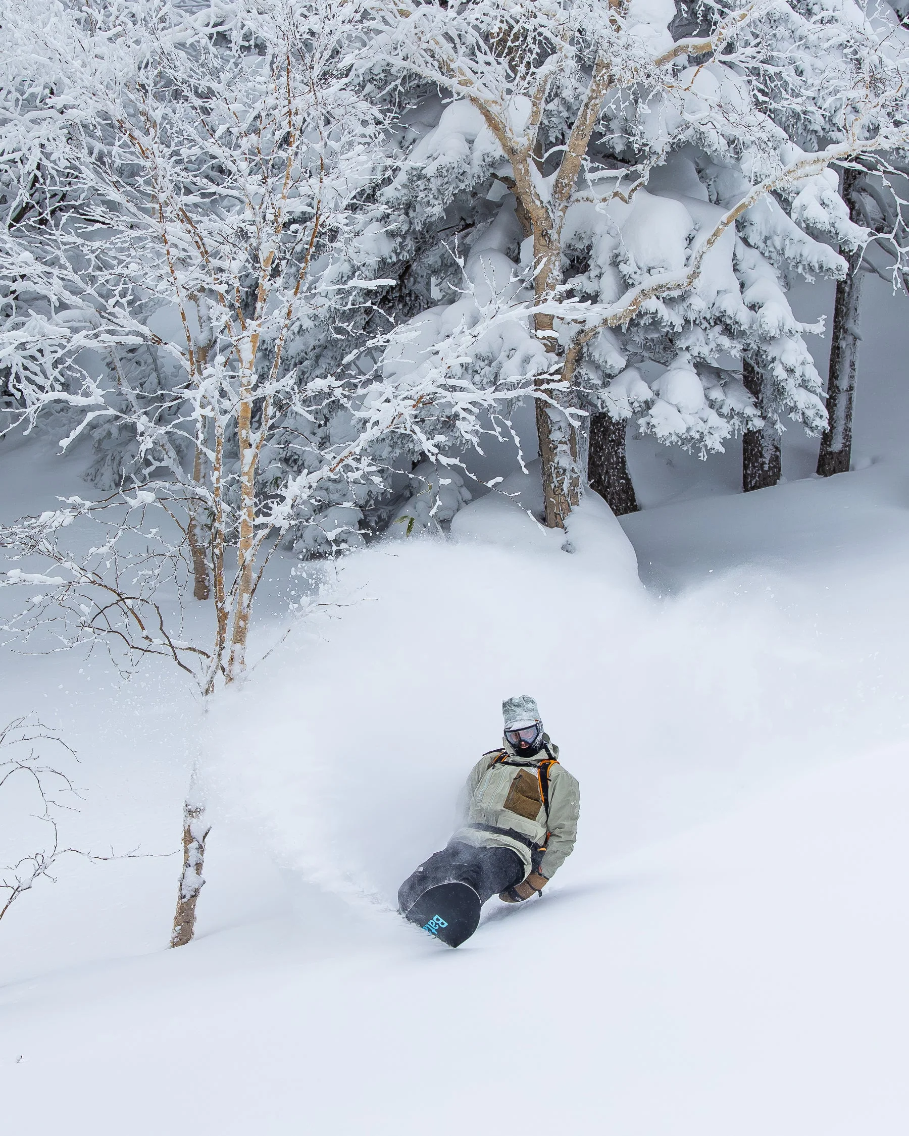 ThunderStorm - Image 5